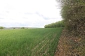 Chemins bien discrets aux 100 arpents
